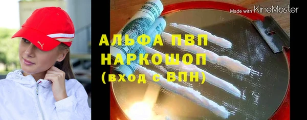 СК Алексин