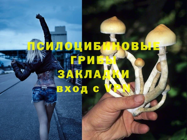 СК Алексин