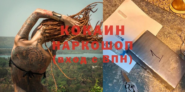 СК Алексин