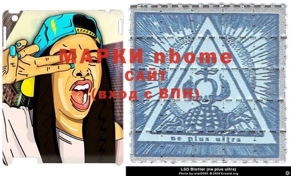 СК Алексин