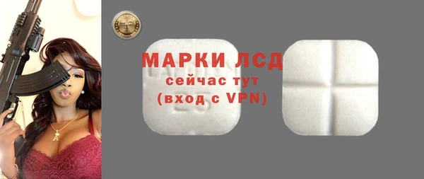 СК Алексин